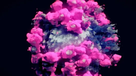Primera imagen real del coronavirus Primera imagen real del coronavirus