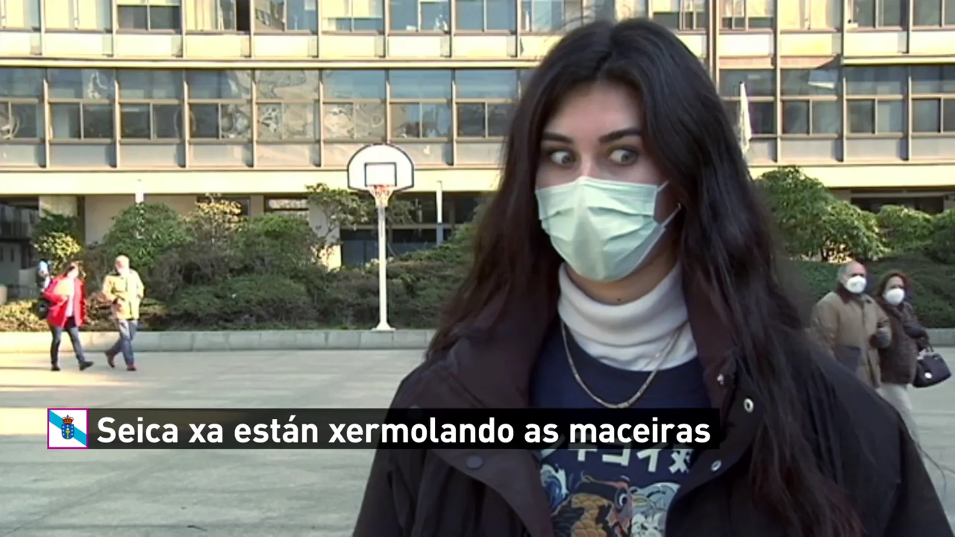 ¿Saben hablar bien gallego los jóvenes de ciudad de Galicia?