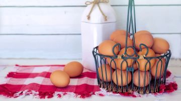 Imagen de archivo de huevos
