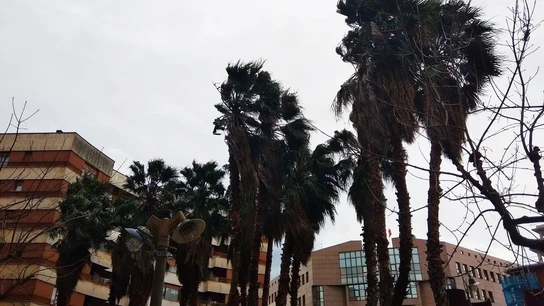 Rachas fuertes de viento en Euskadi Rachas de viento