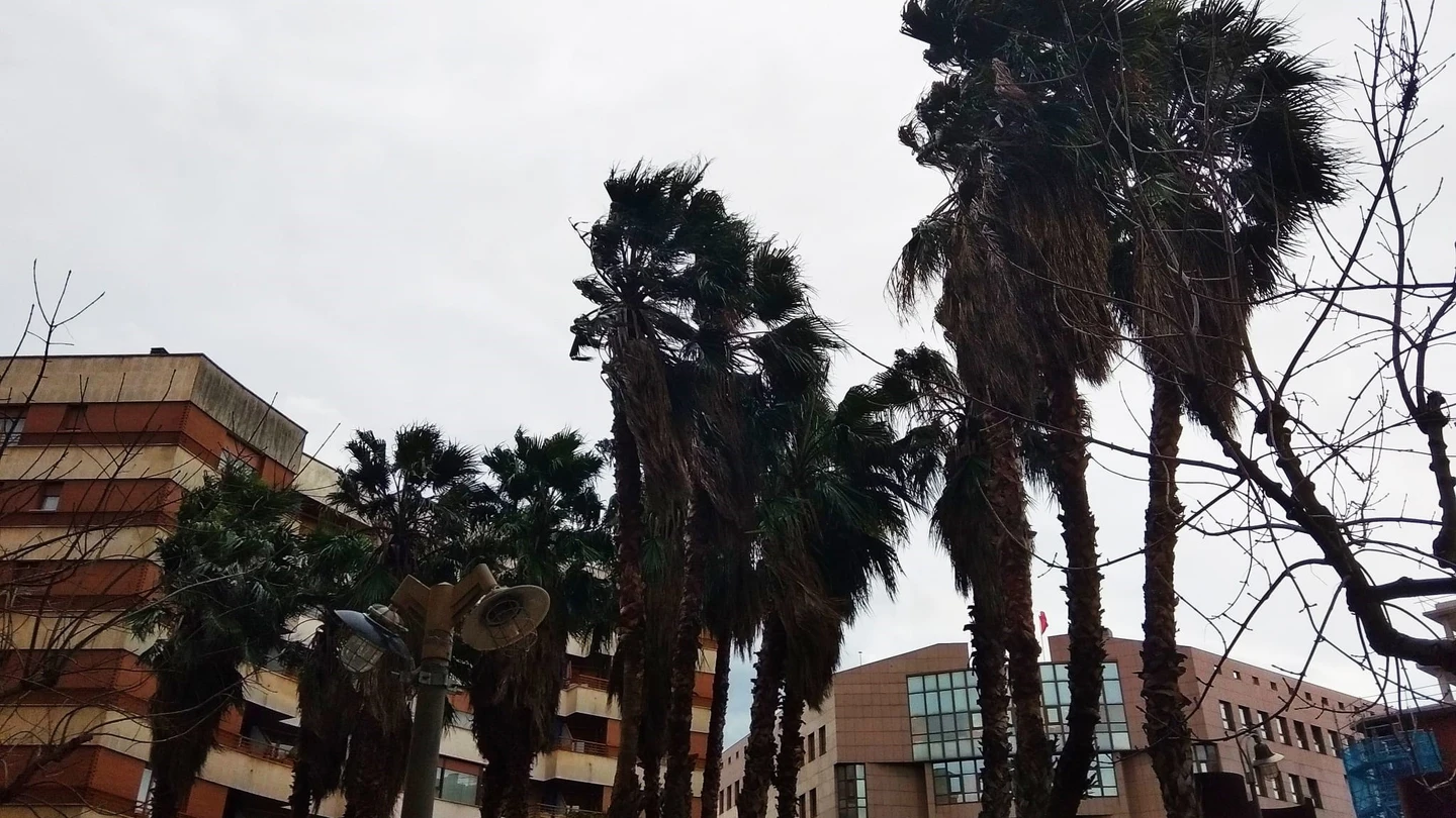 Rachas fuertes de viento en Euskadi Rachas de viento
