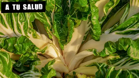 Imagen de archivo de acelgas Imagen de archivo de acelgas