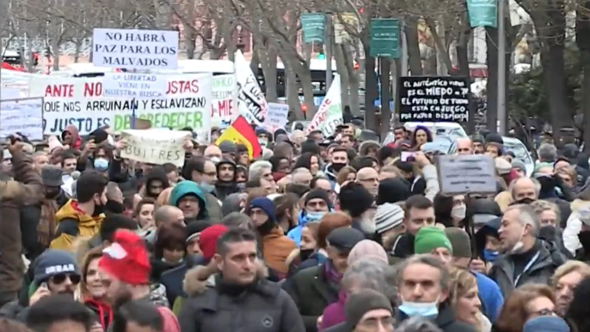 Imagen de la manifestación negacionista en Madrid