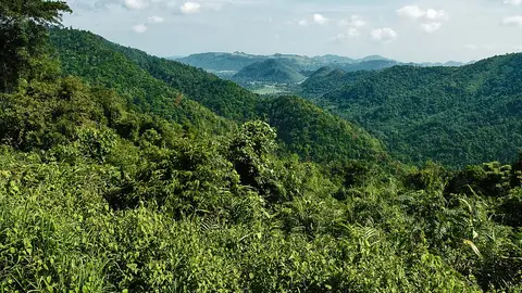 Khao Yai Khao Yai