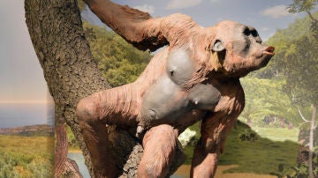 El oido interno de los primates del Mioceno esconde claves de la evolucion humana
