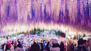 Ashikaga Flower Fantasy, en la prefectura de Tochigi
