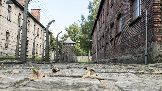 ¿Cómo se celebra el Día del Holocausto en España? Auschwitz, campo de concentración y exterminio nazi