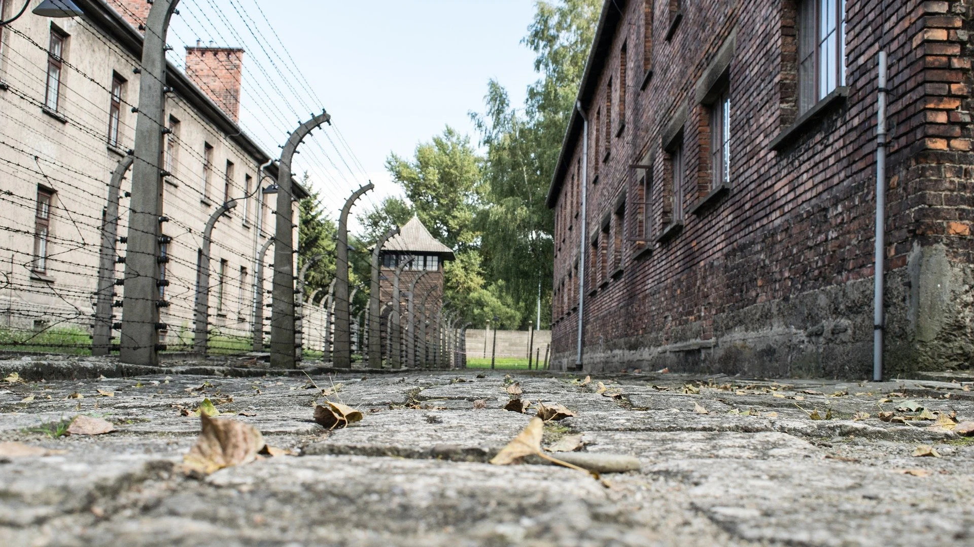 Auschwitz, campo de concentración y exterminio nazi