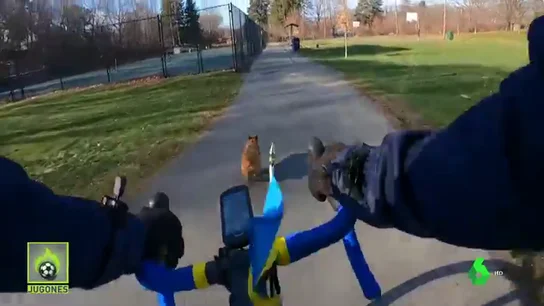 ciclista perro ciclista perro