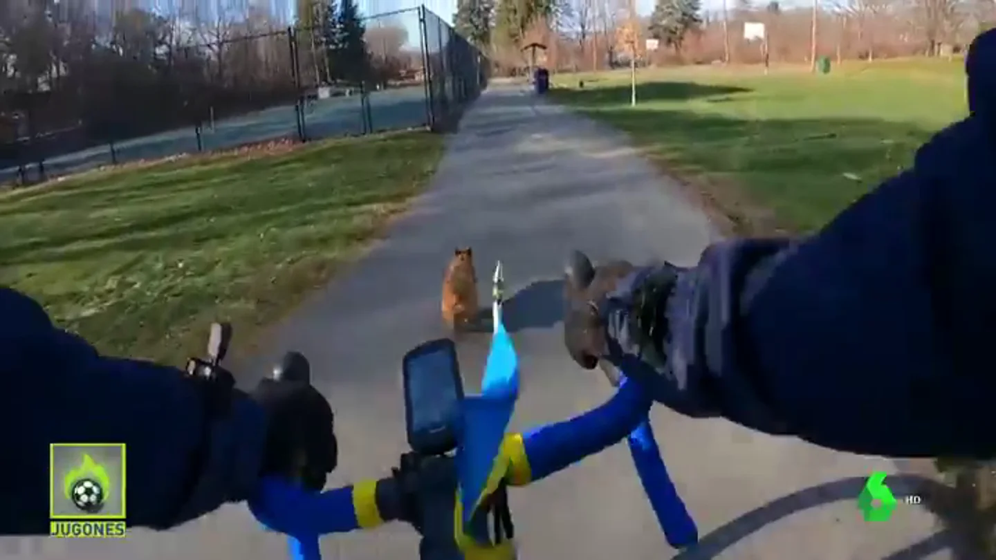 ciclista perro ciclista perro