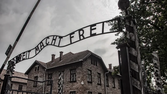 Testimonios para no olvidar el Holocausto: del desconocido campo de concentración de Gusen al horror de Auschwitz Cartel "Arbeit macht frei" (el trabajo os hará libre) que preside Auschwitz