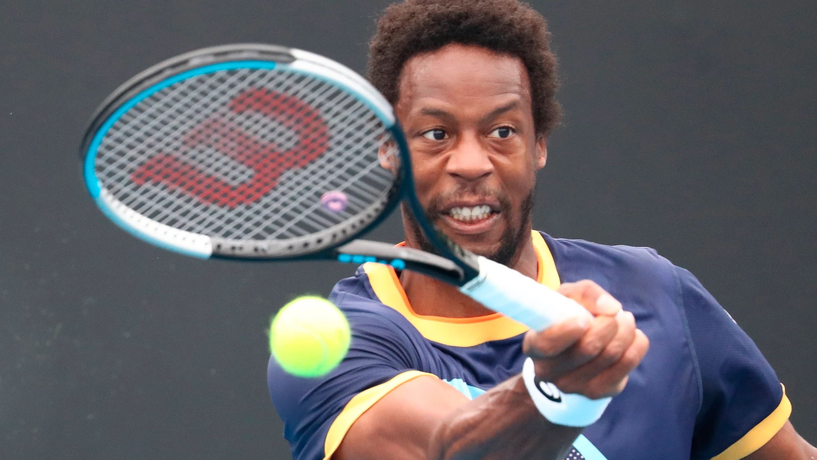 Gael Monfils