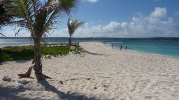 Sandy