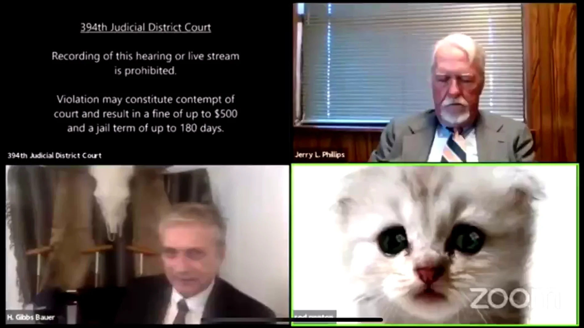 "No soy un gato": el filtro que jugó una mala pasada a un abogado durante un juicio online