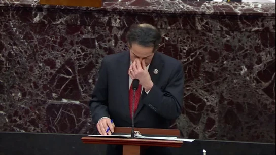 El congresista de Maryland, Jamie Raskin, durante su intervención en el Congreso Asalto al Capitolio