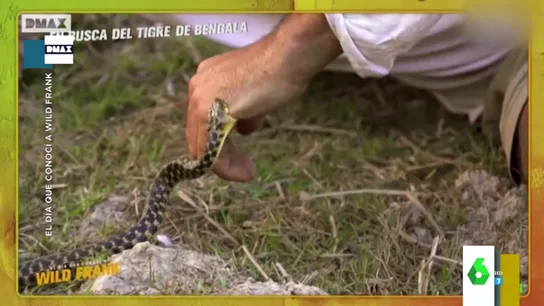 Una serpiente muerde a Frank Cuesta Una serpiente muerde a Frank Cuesta
