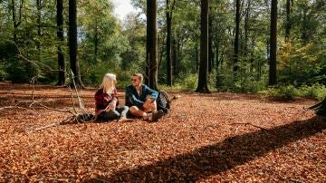 Baño de Bosque. Valonia (Bélgica)