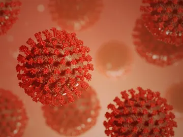 Un cambio en el ADN del SARS-CoV-2 impide que las defensas del cuerpo puedan destruirlo Un cambio en el ADN del SARS-CoV-2 impide que las defensas del cuerpo puedan destruirlo