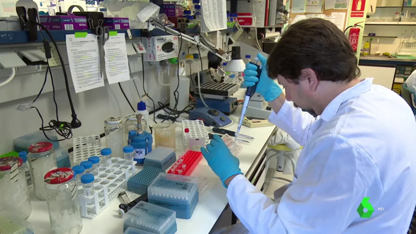 Investigación en cáncer infantil y coronavirus en el Hospital La Paz Investigación en cáncer infantil y coronavirus en el Hospital La Paz