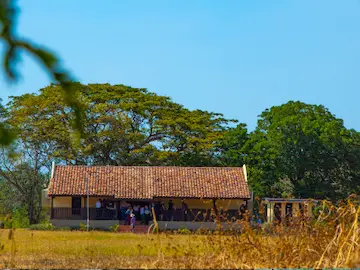 Parque Arqueológico El Caño Parque Arqueológico El Caño