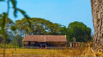 Parque Arqueológico El Caño