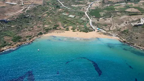 Malta Malta