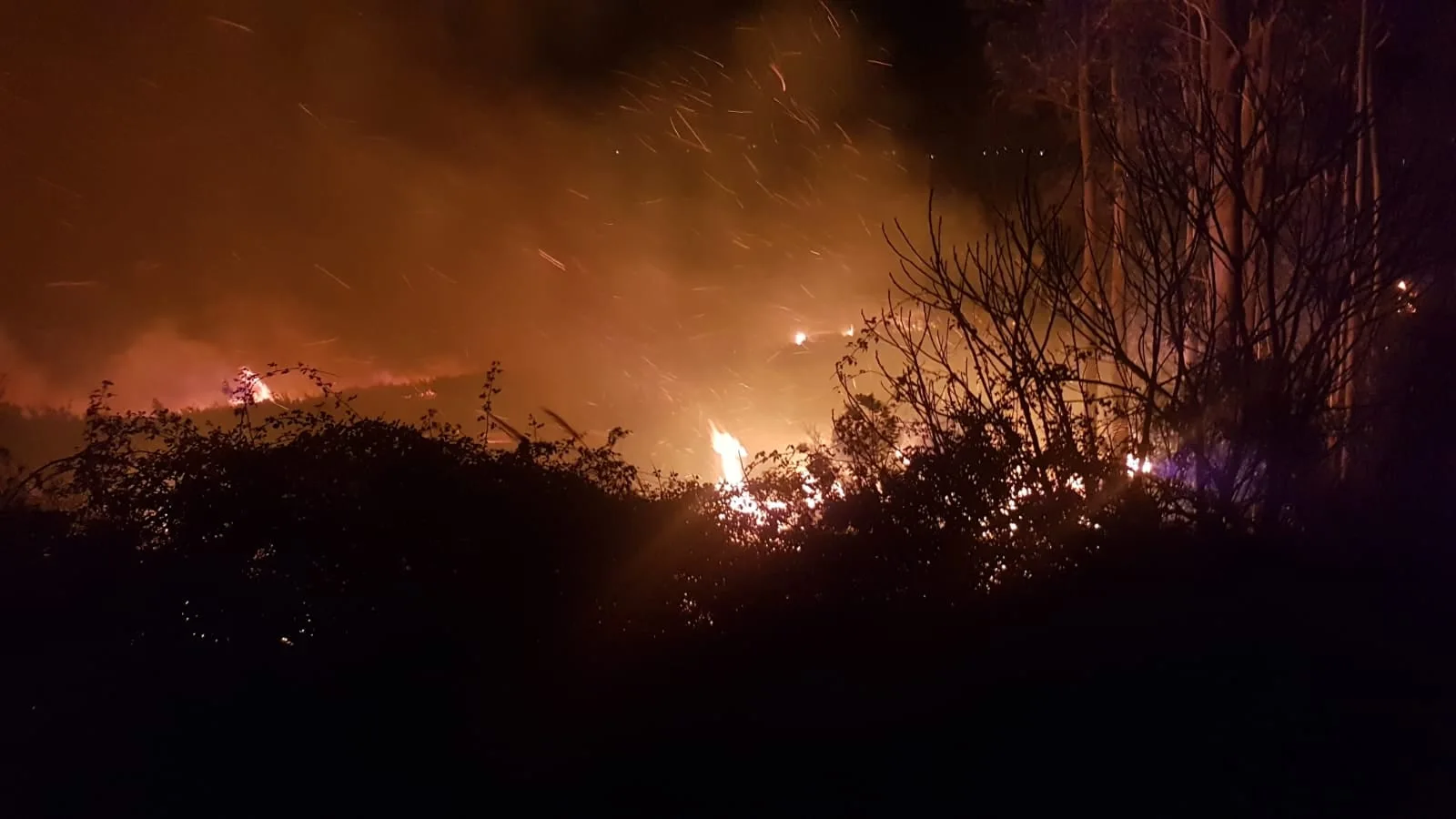 Incendio en el campo de Golf de Pedreña