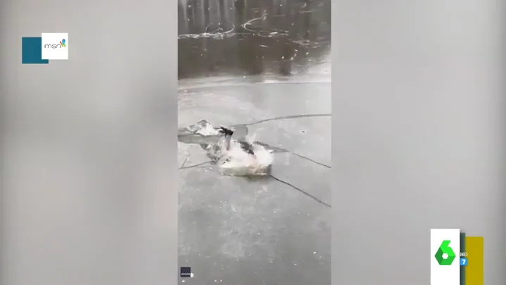 La cómica caída de un hombre que patinaba semidesnudo sobre los canales helados de Ámterdam