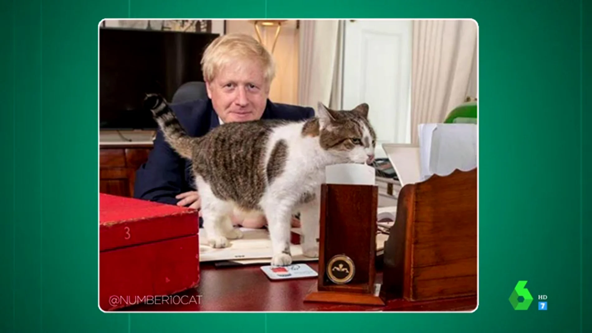 Larry, el gato que custodia la residencia del primer ministro británico, celebra 10 años al servicio del gobierno