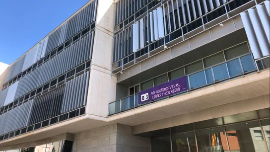 Pancarta contra la violencia machista en el Ayuntamiento de Sant Vicent del Raspeig Pancarta contra la violencia machista en el Ayuntamiento de Sant Vicent del Raspeig