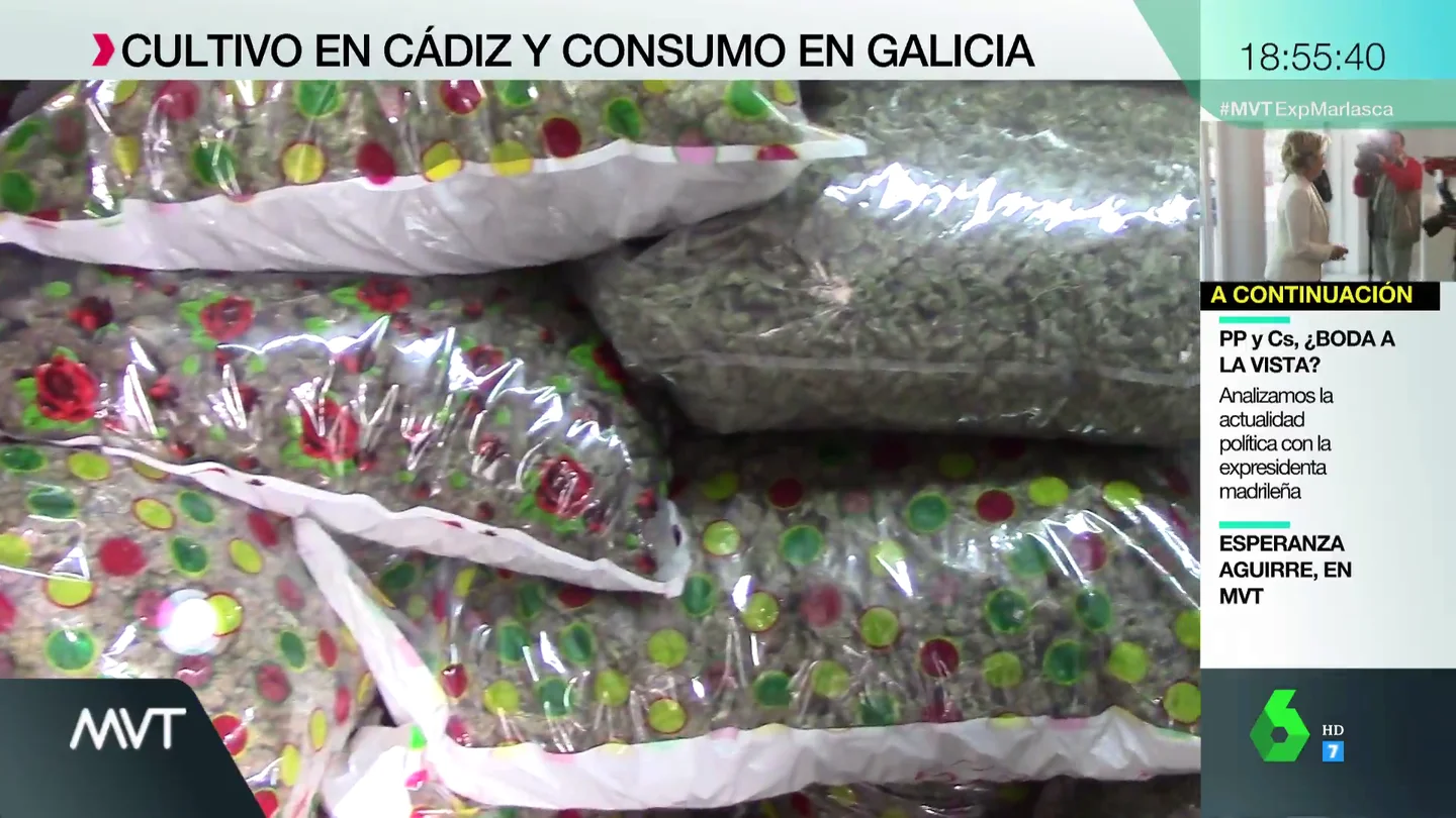 Marihuana envasada al vacío Marihuana envasada al vacío