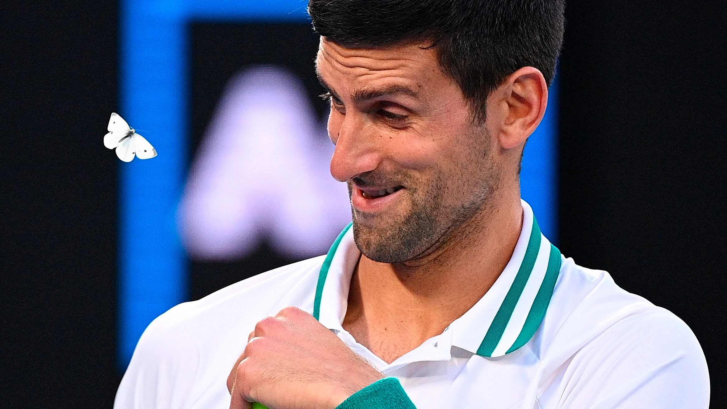 Djokovic, sonriente junto a la mariposa