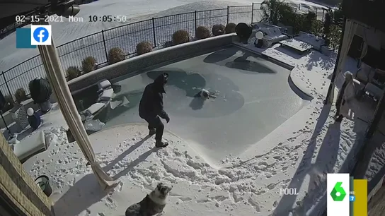 Imagen del rescate a un perro en EEUU Imagen del rescate a un perro en EEUU