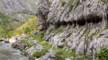Hoces de Vegacervera