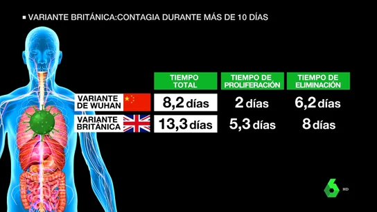 La variante británica del coronavirus sería contagiosa más tiempo: permanece en el organismo hasta 13 días La variante británica del coronavirus sería contagiosa más tiempo: permanece en el organismo hasta 13 días