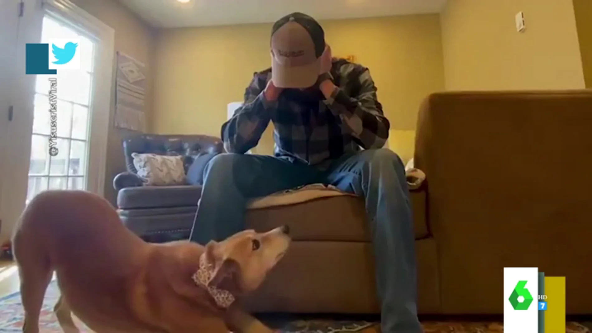 La emotiva reacción de un perro cuando ve a su dueño llorar