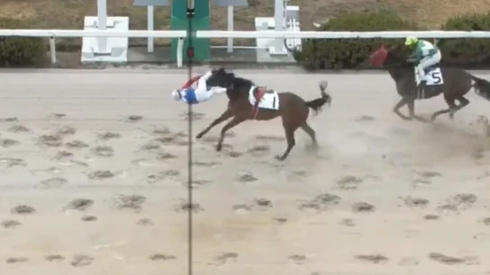El jockey japonés Shoichi Kawahara sale despedido a pocos metros de la línea de meta El jockey japonés Shoichi Kawahara sale despedido a pocos metros de la línea de meta