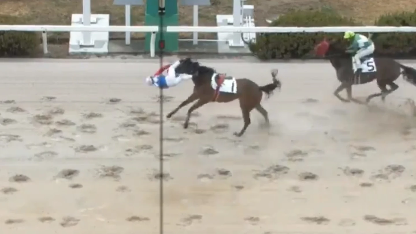 El jockey japonés Shoichi Kawahara sale despedido a pocos metros de la línea de meta El jockey japonés Shoichi Kawahara sale despedido a pocos metros de la línea de meta