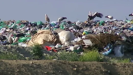 España, ¿camino de ser un enorme vertedero? Qué ha fallado en nuestro sitema de reciclaje y cómo lo solucionamos España, ¿camino de ser un enorme vertedero? Qué ha fallado en nuestro sitema de reciclaje y cómo lo solucionamos