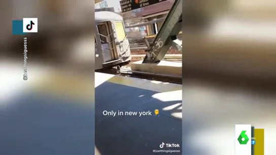 El asesinato con alevosía de una paloma que es empujada por otras dos a las vías del tren El asesinato con alevosía de una paloma que es empujada por otras dos a las vías del tren