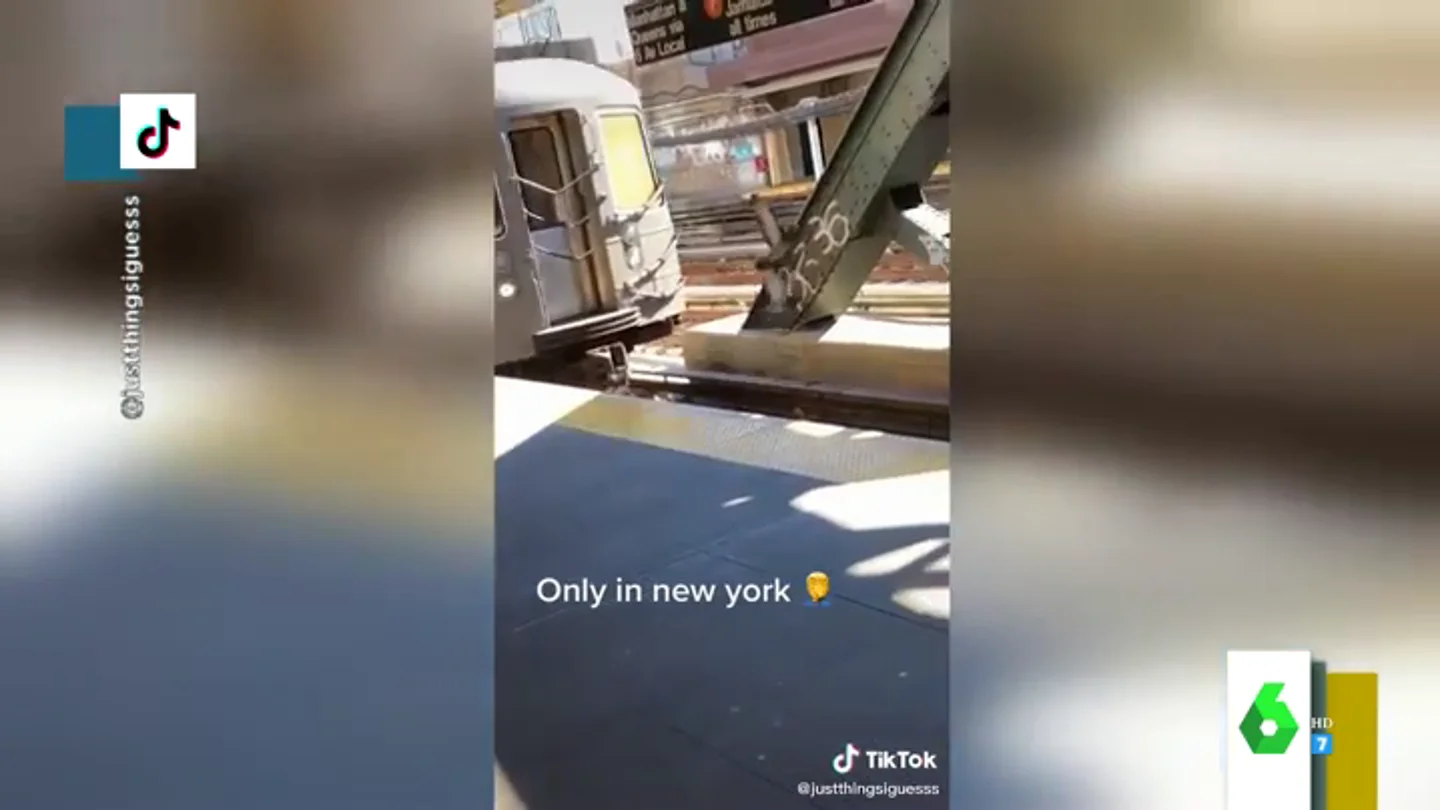El asesinato con alevosía de una paloma que es empujada por otras dos a las vías del tren El asesinato con alevosía de una paloma que es empujada por otras dos a las vías del tren