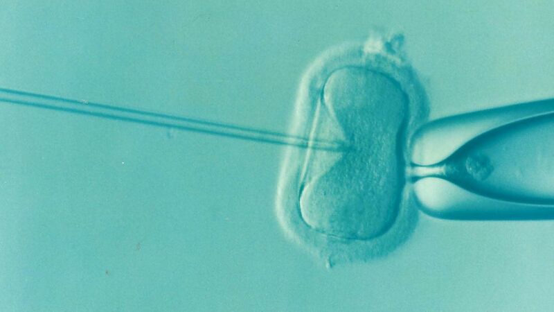 ¿Serán infértiles los humanos del futuro?