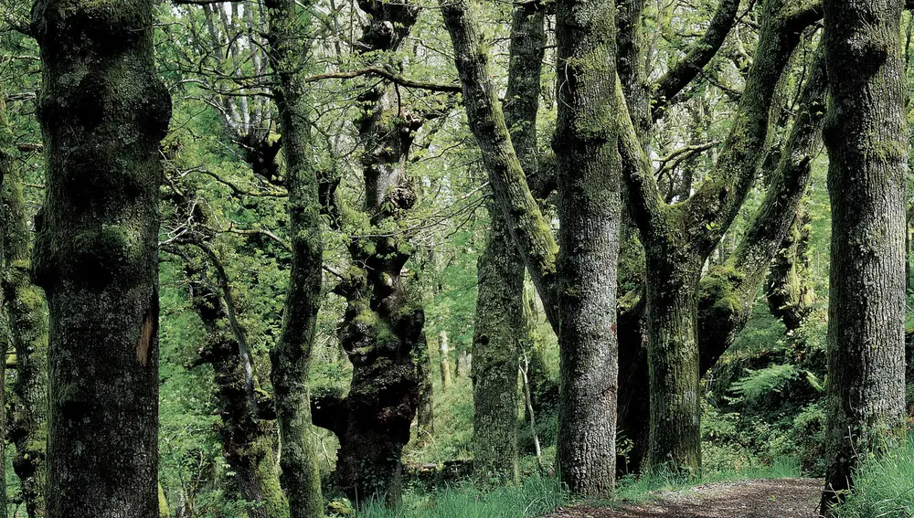 Fraga de Catasós Fraga de Catasós