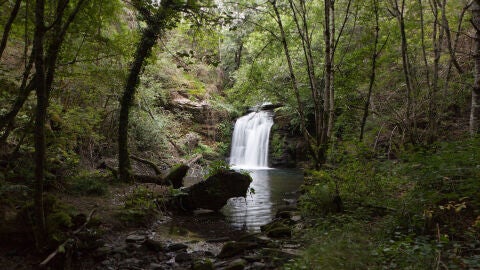 Fraga da Marronda