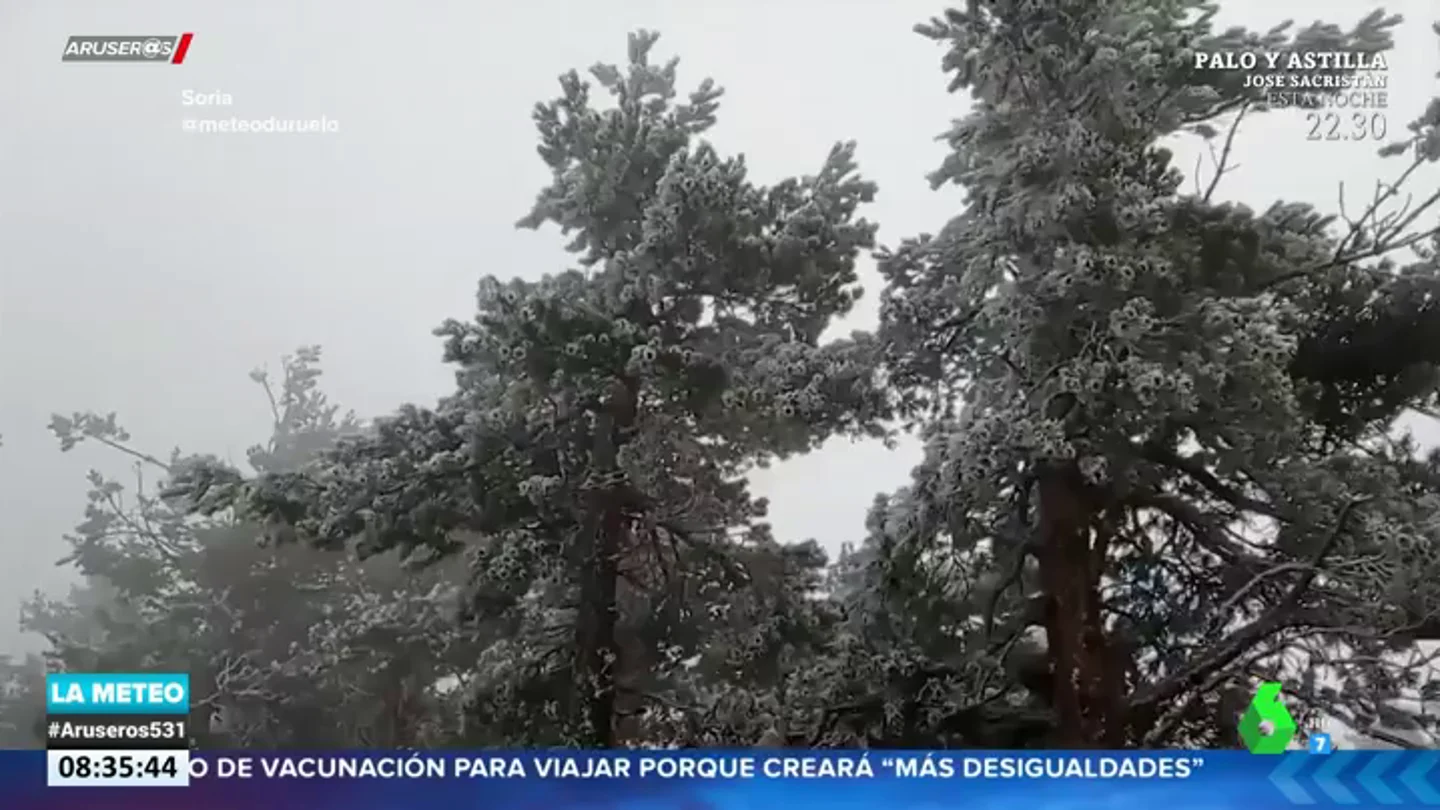 Impactantes imágenes: el frío deja una gran cencellada en Soria Impactantes imágenes: el frío deja una gran cencellada en Soria
