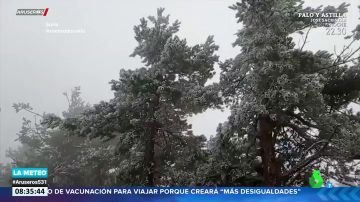 Impactantes imágenes: el frío deja una gran cencellada en Soria
