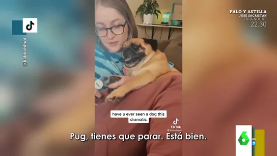 Los escandalosos chillidos de un perro cuando su dueña intenta cortarle las uñas Los escandalosos chillidos de un perro cuando su dueña intenta cortarle las uñas