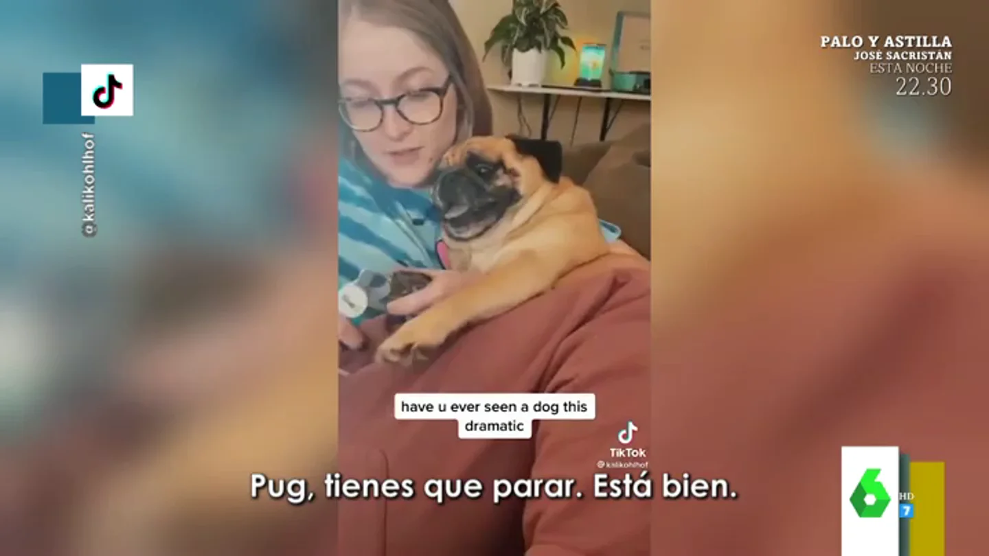 Los escandalosos chillidos de un perro cuando su dueña intenta cortarle las uñas Los escandalosos chillidos de un perro cuando su dueña intenta cortarle las uñas