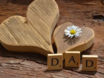 Día del Padre (viajero) Día del Padre (viajero)