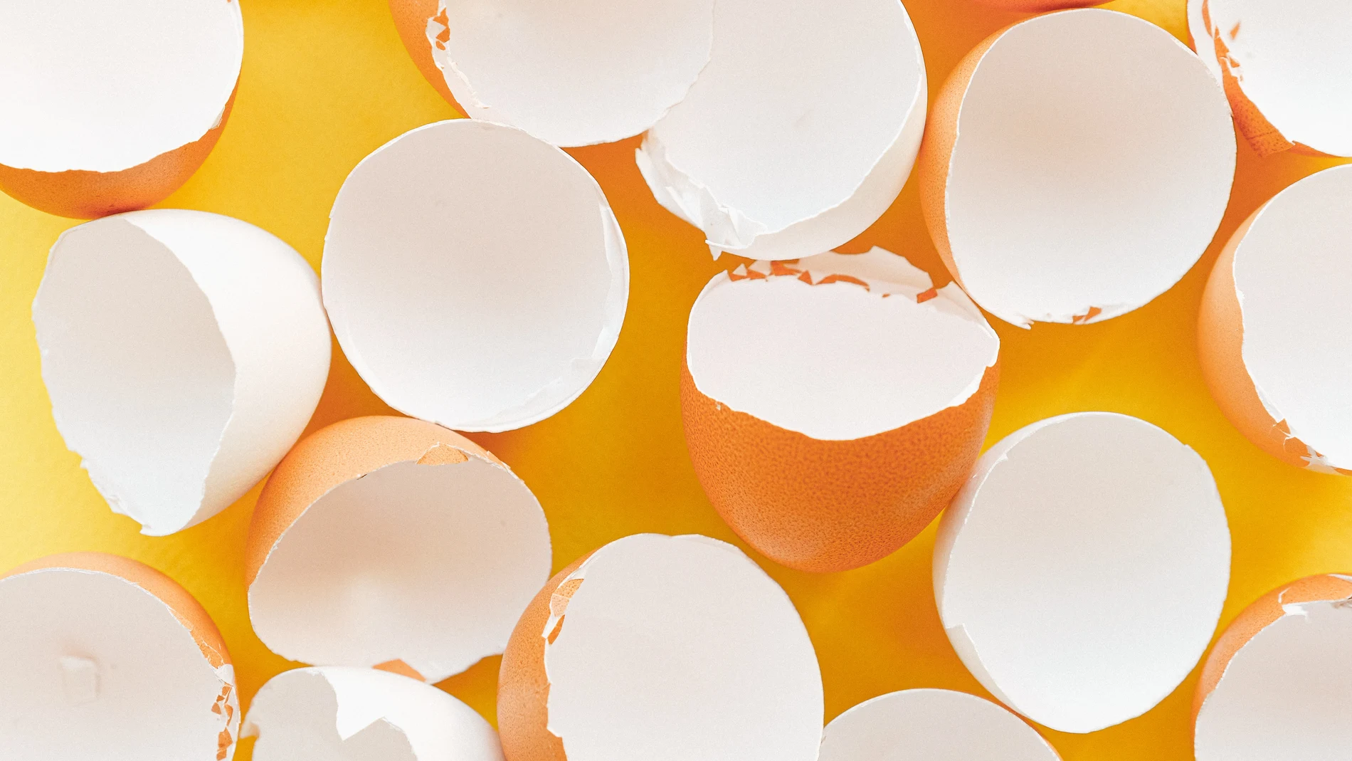 La composición de la cáscara de huevo es carbonato de calcio en su mayoría